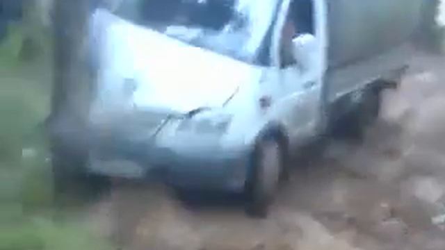 Газель прикололась