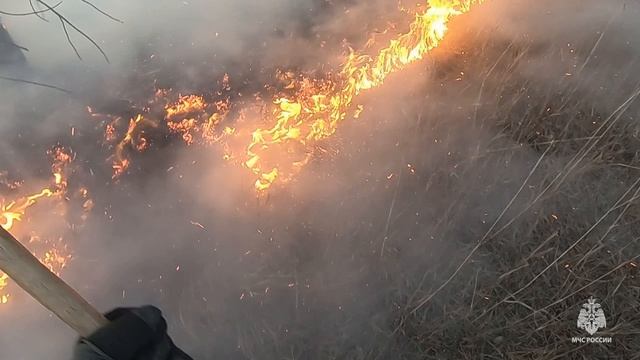 Глазами огнеборцев МЧС России по Запорожской области