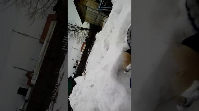 На снежной горе