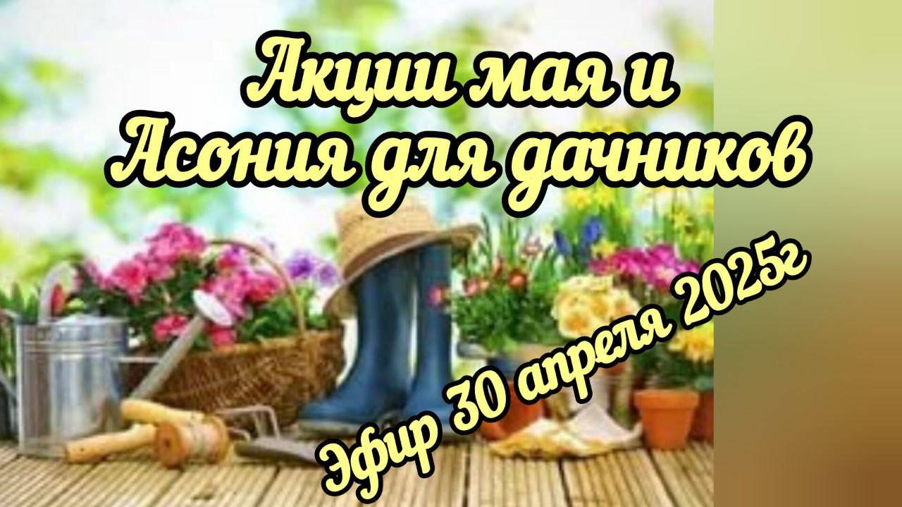 Акции мая и Асония для дачников. Эфир 30 апреля 2025г. Спикер Екатерина Лобачева
