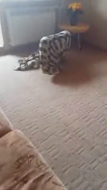 Привидение с мотором!!!Бу!