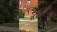 Жесть.Слабонервным не смотреть.18+.