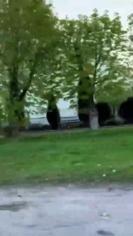 Сумская область. Краснополье...