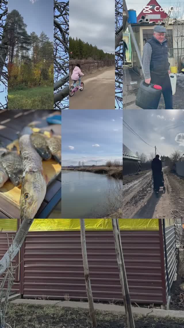 Дачный сезон открыт .