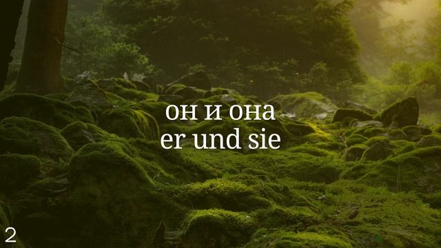 Весь Немецкий за 100 уроков. Немецкие слова и фразы. Немецкий с нуля. Немецкий язык. Часть 2