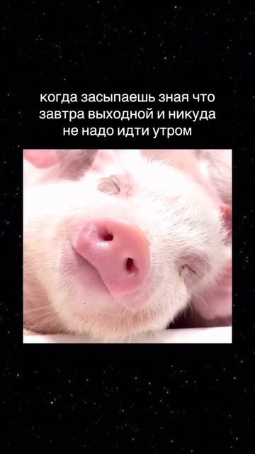 😂Хорошего вечера!