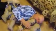 Доброе утро МОПСЫ прикол 2015