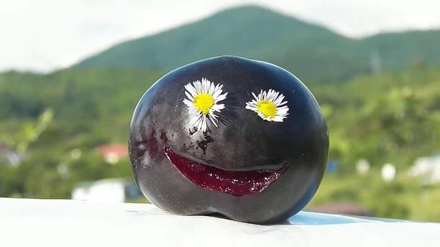 ОЛЯ С ДНЁМ РОЖДЕНИЯ ОТ СЛИВЫ