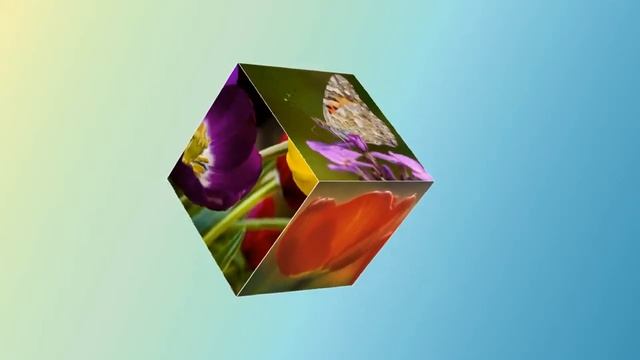 Урок 11 2   Demo 3D Cube вращение исправление