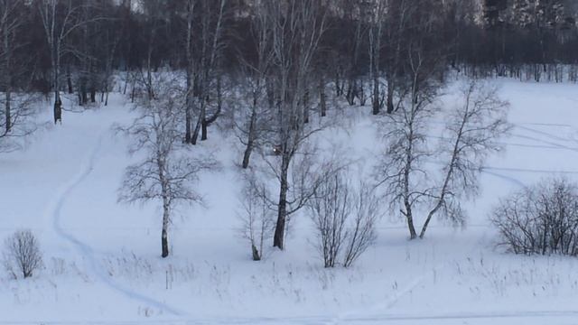 хотел повыеживаться на камеру но чета  приуныл и лег отдохнуть))))