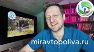Автополив газона - системы автоматического полива Мир Автополива miravtopoliva.ru #миравтополива