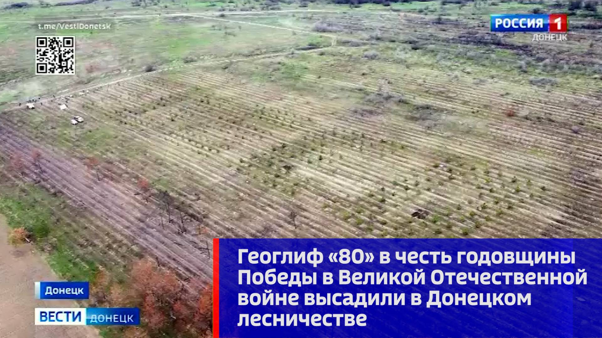 Геоглиф «80» в честь годовщины Победы в Великой Отечественной войне высадили в Донецком лесничестве