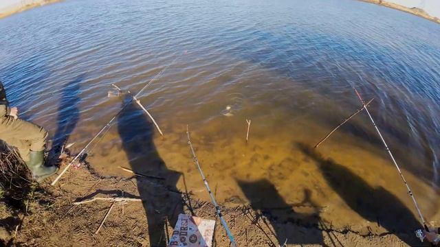 Оснастка убийца карася . Очень много рыбы. Уловистая прикормка на карася .