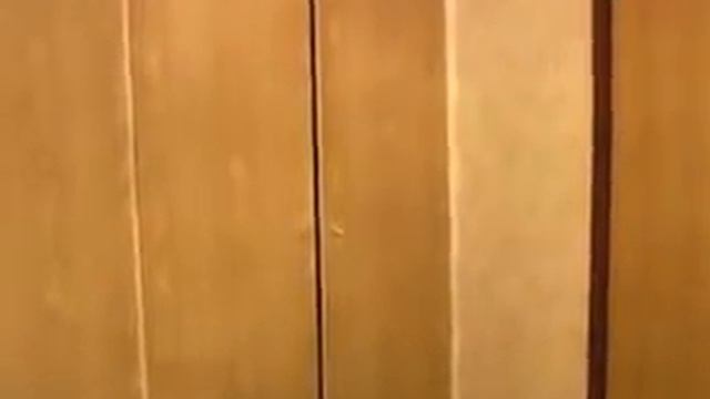Студенческий утренний прикол