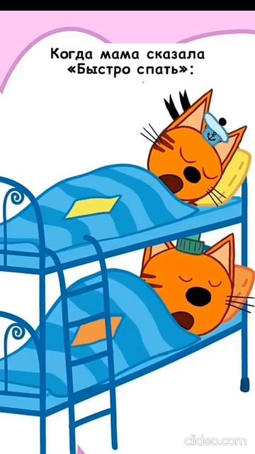 Быстро спать / Три кота