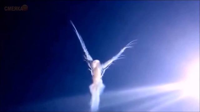 Приколы февраль 2017 №292