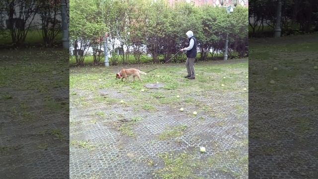 Барат1 Предметы.30.04.2025