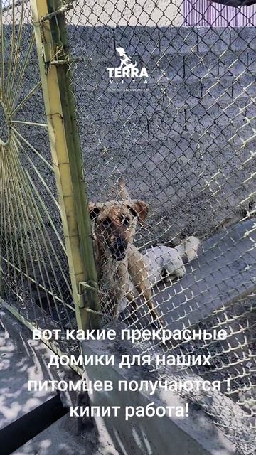 кипит работа