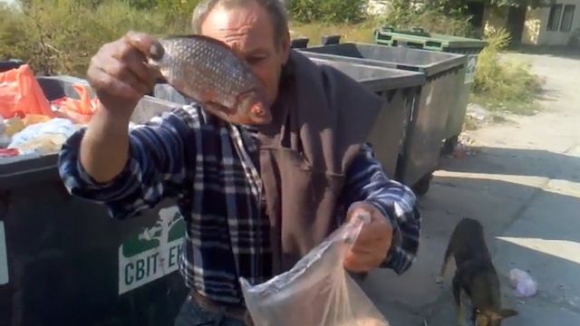 Вованчик копается в мусорке