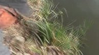 Рыбалка на РЕЗИНКУ и ловля карпов на закидушку (Часть 1). My fishing