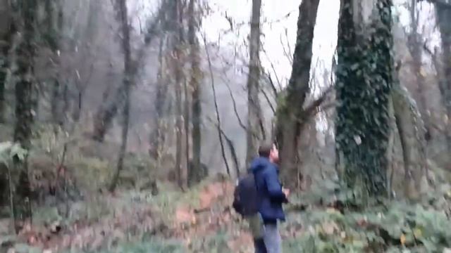 lagodekhi national park    (Аdventure club-DZ)