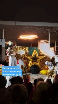 Елка 🎄 в парке 🎅#happynewyear #shortvideo #circus #2024 #baby