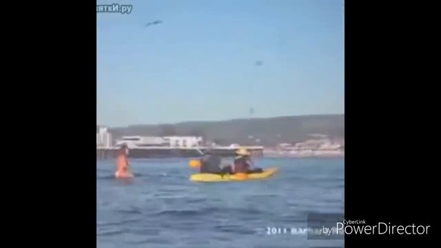 ИСПУГИ ЛЮДЕЙ И ЖИВОТНЫХ || РЖАКА || ЖЕСТЬ