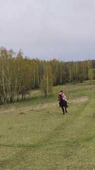 Алена и Аквилон, скоростной галоп в горку.