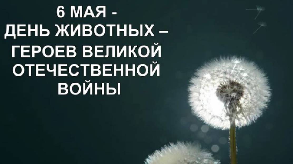 Животные- герои ВОВ