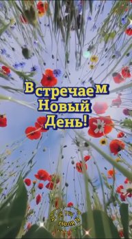 Доброе утро. ВидеоОткрытки