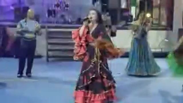 Цыганский Ансамбль8 495 7447746)