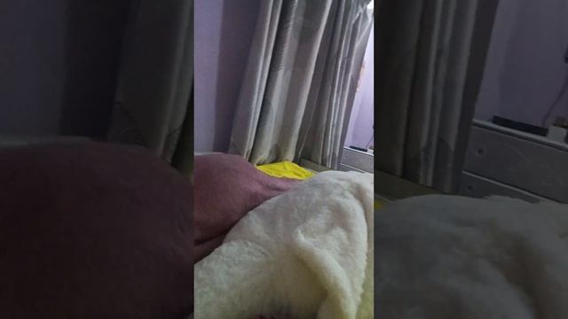 #ямыилюша #raccoon #помощьбездомнымживотным #анапа #reels #море #енотики #юмор