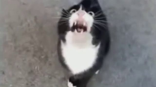 Где детонатор!!!