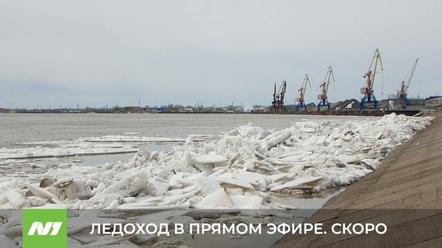 Уровень воды в Оби стремительно растёт. Нижневартовск