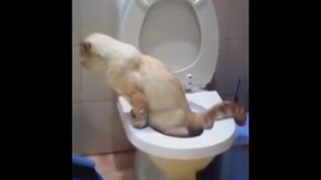 Простые приколы