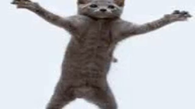 Для настоящих олдфагов! Танцуящие котики | Dancing cats for oldfags