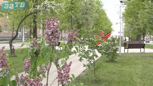 Новости Заречного от 30.04.25