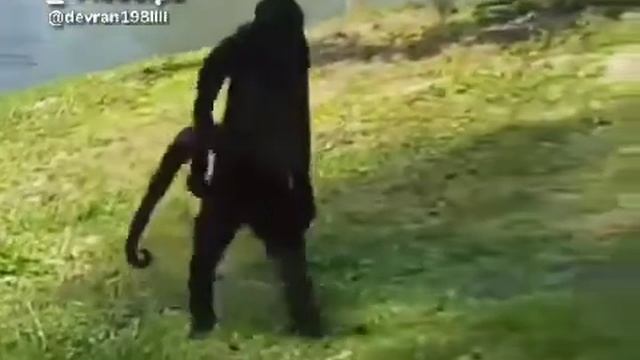 Узбекча приколлар