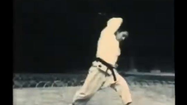 The Dynamic Techniques of SHOTOKAN KARATE 02