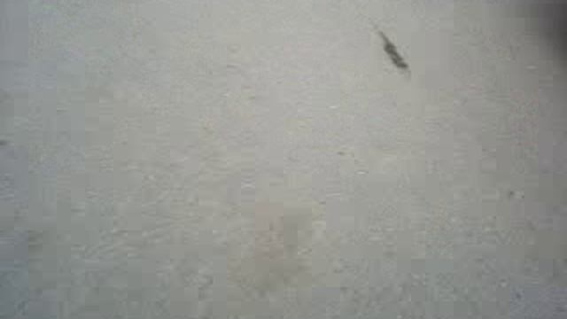 ВЕСЕННИЙ УЛИЧНЫЙ БЛОГ №1354 ((ДУБЛЬ ДВА ВТОРАЯ ЧАСТЬ)))