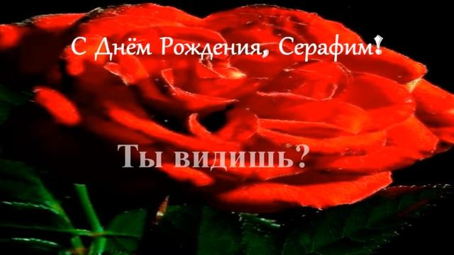 Смешное поздравление. С Днём рождения, Серафим!