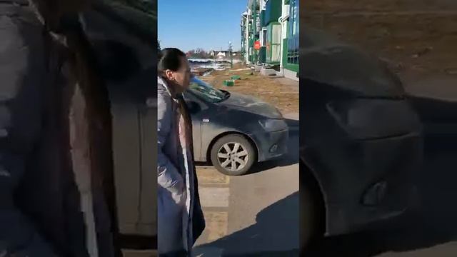 Весенняя шиза