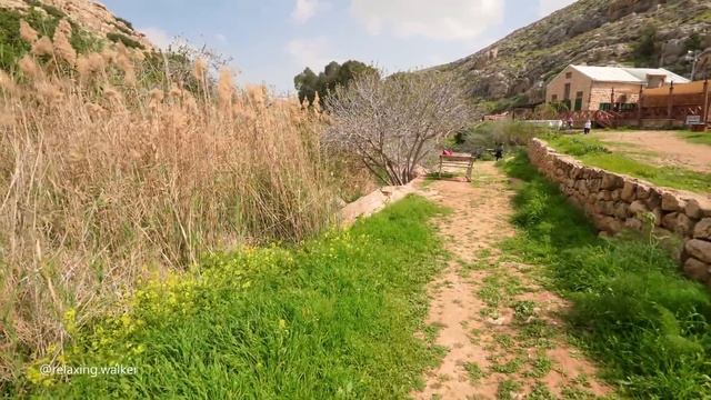 Judea and Samaria between Jerusalem and Jericho