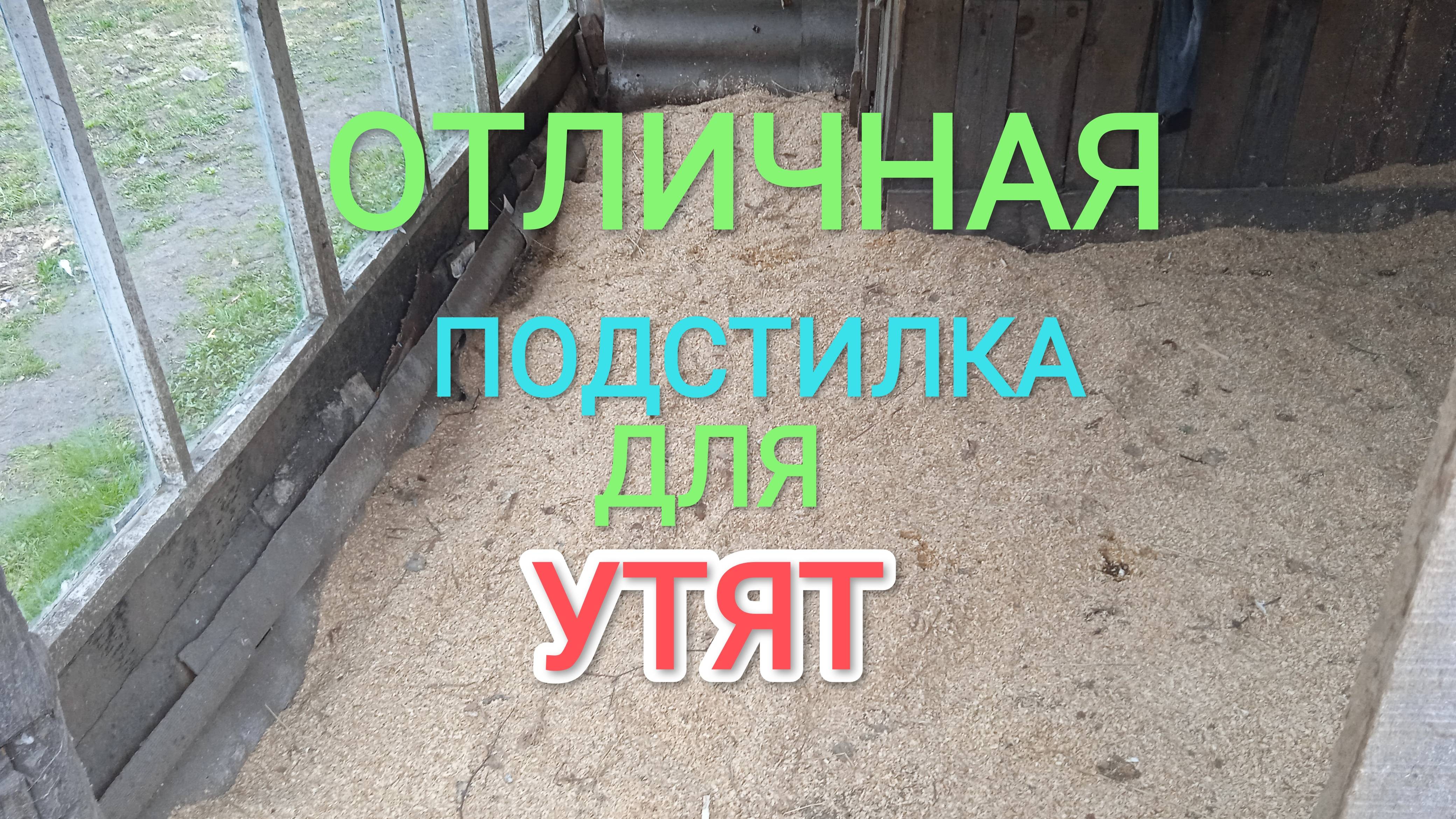 Какую подстилку лучше стелить утятам