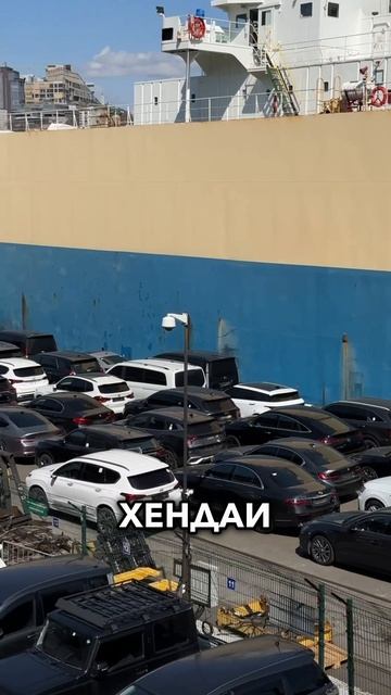 РАЗГРУЗИЛИ АВТОВОЗ В ПОРТУ Узнали свои авто?) #автоподзаказ #авто #автовоз #южнаякорея #владивосток
