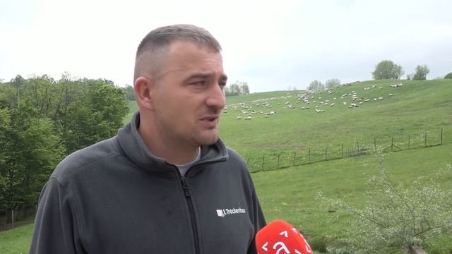 НАРОД ПРИЧА: Фарма оваца на Вучијаку