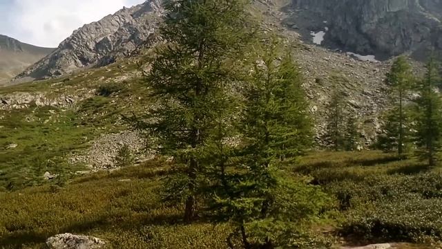 Алтай 2021год.