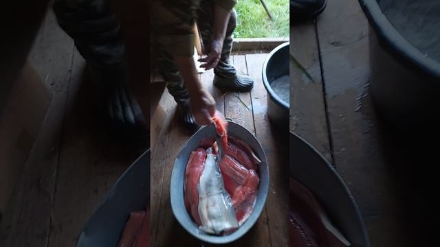 засолка кеты ,на зиму