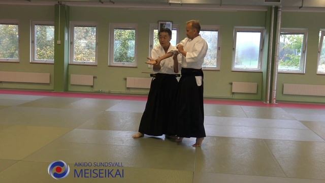 2 Aikido Ai Hanmi Do Barai Ikkyo Ura Shishiya Sensei Malmö 2019