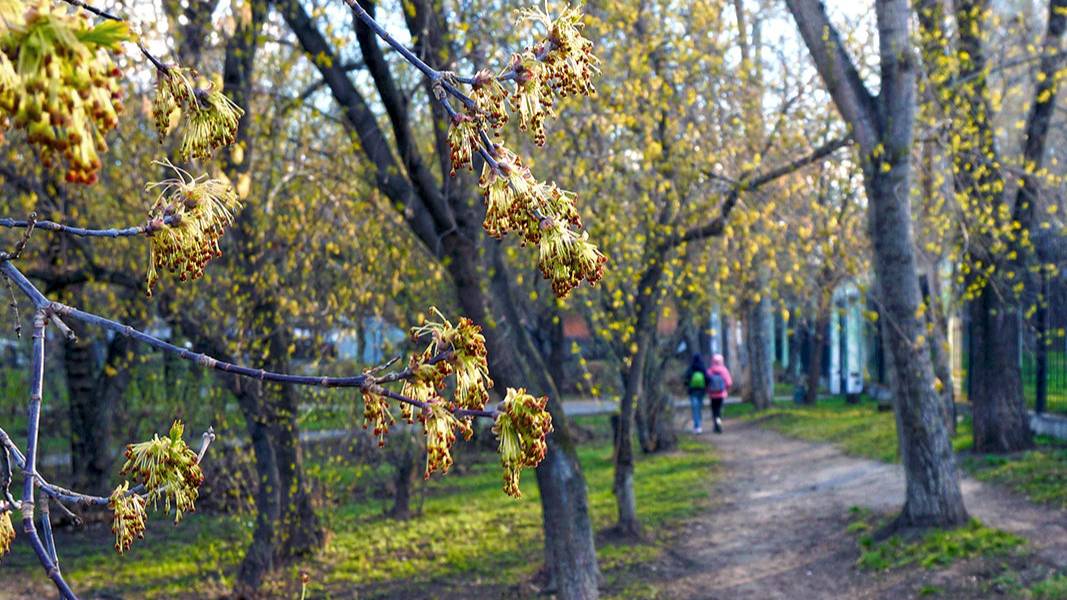 Все спешат по делам, на работу и некогда наслаждаться течением жизни, апрель 2025г.